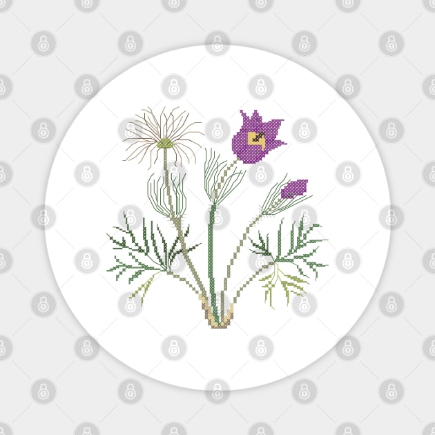 South Dakota State Flower Pasqueflower Magnet by inotyler